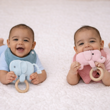 Load image into Gallery viewer, Blush & Blue – Twin Brother & Sister Gift Hamper